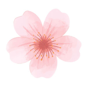 Holistic Wellness and Female Health Holistic Wellness and Female Health